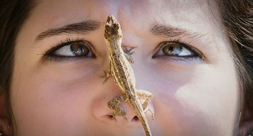Close-up of teenage girl with lizard on face
