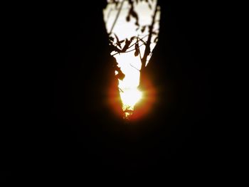 Silhouette of tree against sky