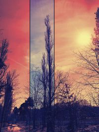 Low angle view of silhouette bare trees against orange sky