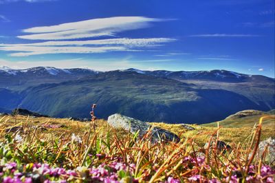 Scenic view of landscape against sky