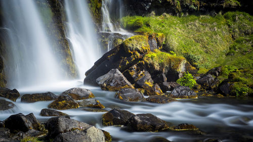 Scenic view of waterfall in forest