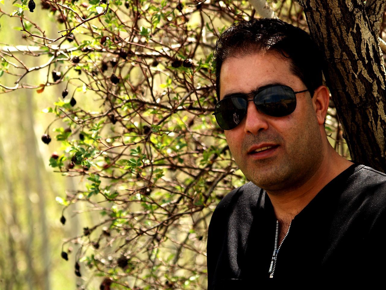 young adult, portrait, looking at camera, headshot, person, front view, lifestyles, young men, close-up, leisure activity, human face, head and shoulders, sunglasses, serious, focus on foreground, mid adult, tree
