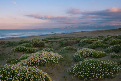 Scenic view of sea against sky during sunset