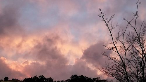 Low angle view of silhouette trees against sky at sunset