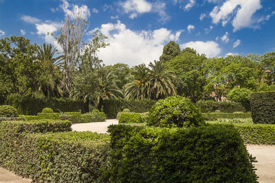 Trees in garden against sky