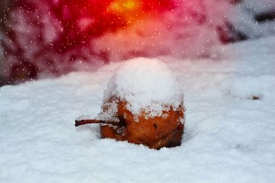 Close-up of snow covered land on field