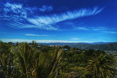 Scenic view of landscape against cloudy sky