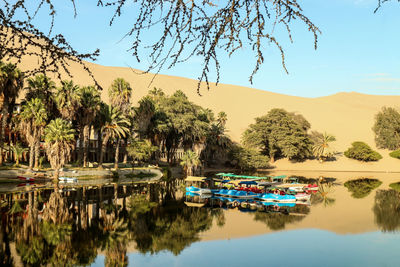 Huacachina - an oasis in the middle of the peruvian desert, view of palm trees and a lagoon