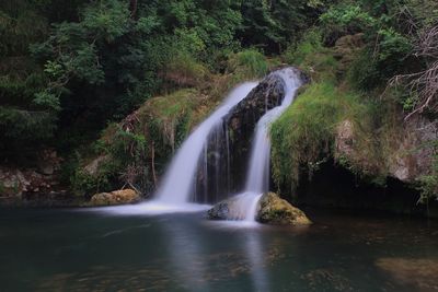 Scenic view of waterfall in forest