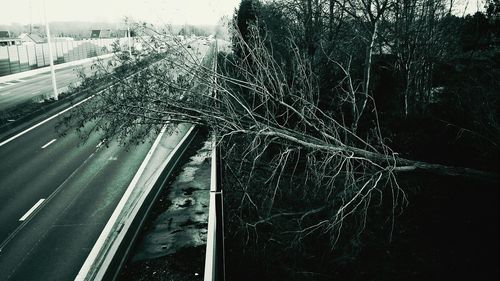 High angle view of railroad tracks amidst trees