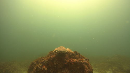 Rock formation in sea