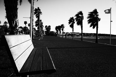 Palm trees against clear sky