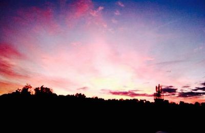 Silhouette of trees at sunset