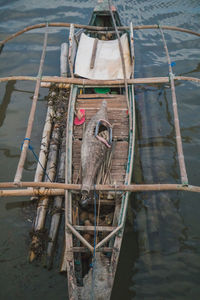 High angle view of bird perching in cage