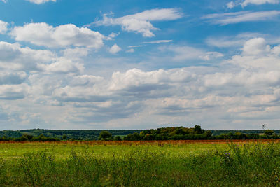 Scenic view of agricultural field against sky