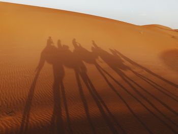 Shadow of people sitting on camel in desert