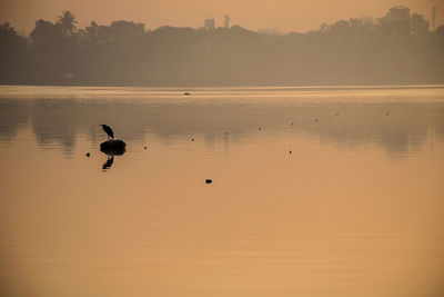 Ducks swimming in lake at sunset