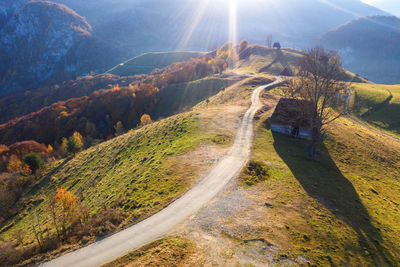 Panoramic shot of road amidst trees against sky