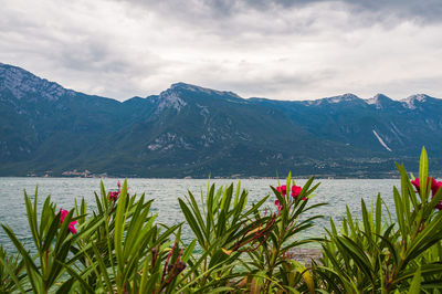 Scenic view of lake by mountains against sky