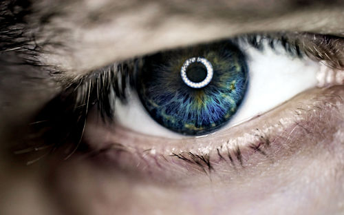 Close-up portrait of human eye