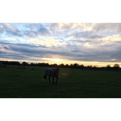 Scenic view of grassy field against cloudy sky