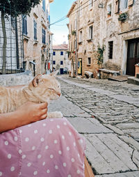 Woman in pink dress petting ginger cat in lap, outdoors, street, town.