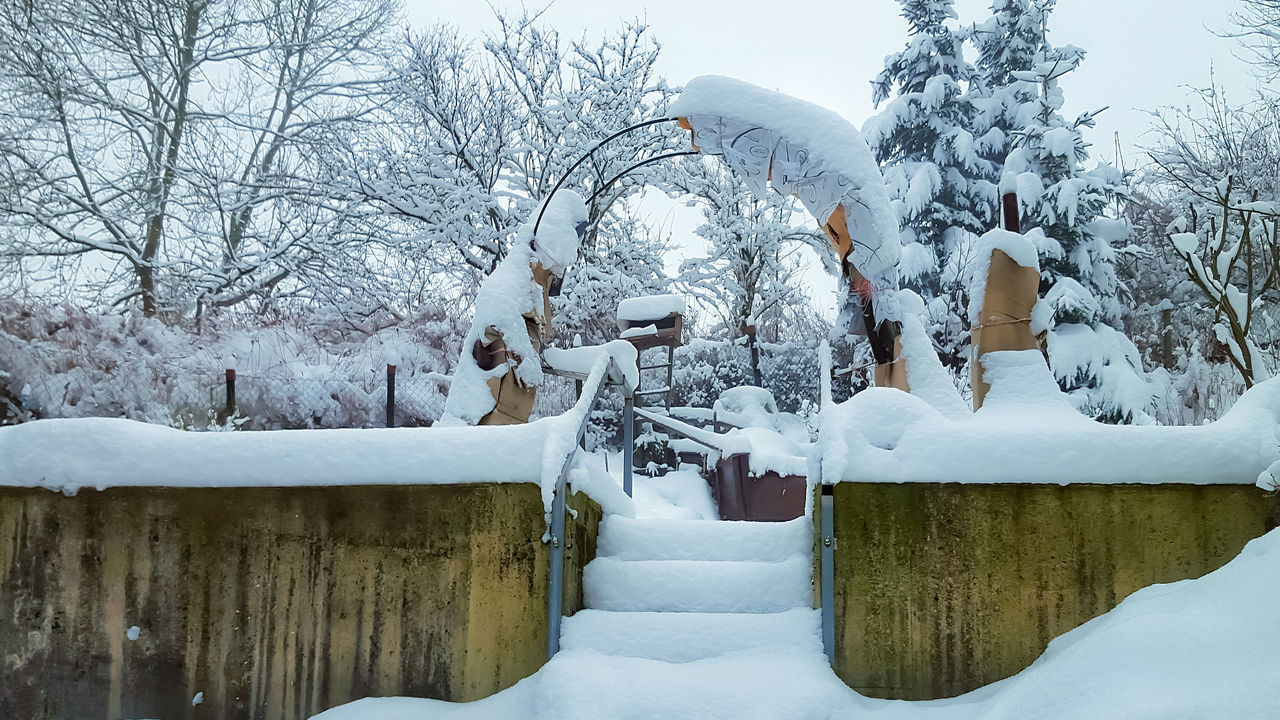 SNOW COVERED PLANTS BY TREES