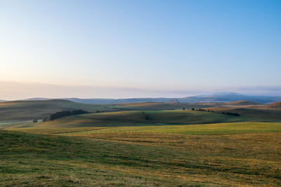 Scenic view of landscape against clear sky