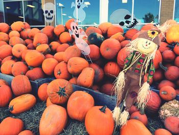 Full frame shot of pumpkins for sale at market