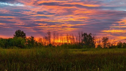 Scenic view of field against sky during sunset