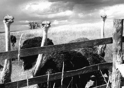 Fence against cloudy sky