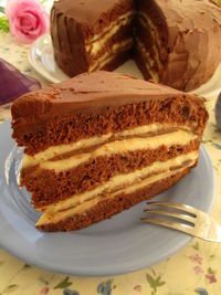 Close-up of cake in plate