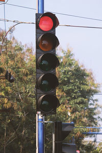 Low angle view of road signal against trees