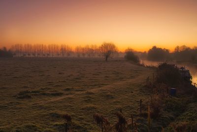 Trees on field against sky during sunset