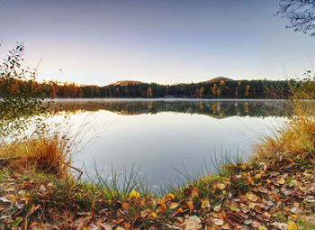 Mirroring of treetops in lake  level. gentle mist above water in orange shadows from daybreak sun