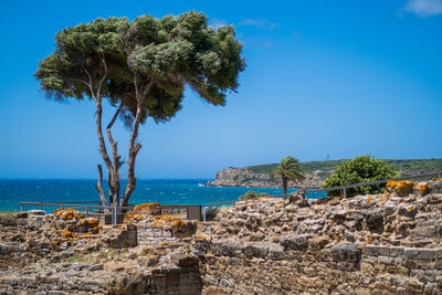 Scenic view of sea against blue sky