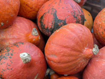 Full frame shot of pumpkins for sale at market