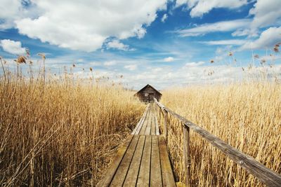 Scenic view of farm against sky