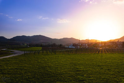 Scenic view of field against sky during sunset