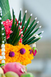 Close-up of multi colored flowers