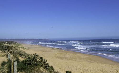 Scenic view of beach against clear blue sky