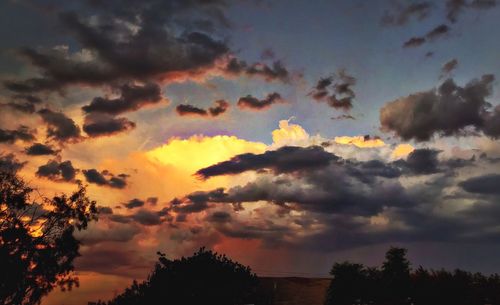 Low angle view of silhouette trees against dramatic sky