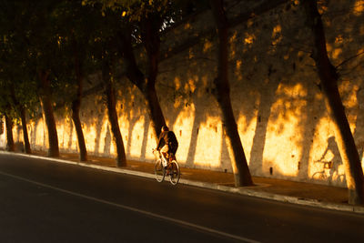 Man riding bicycle on street