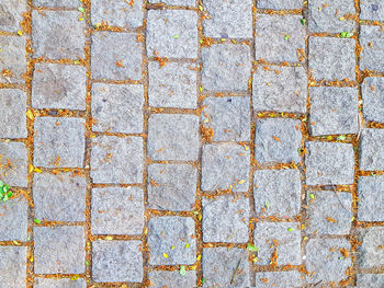 High angle view of footpath on cobblestone street