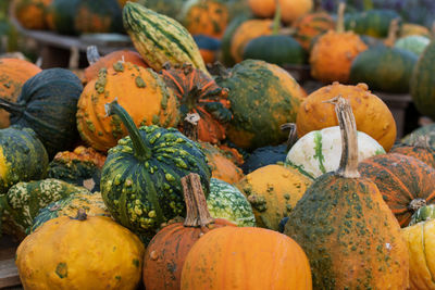 Close-up of pumpkins for sale at market stall