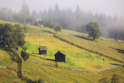 Scenic view of agricultural field against sky