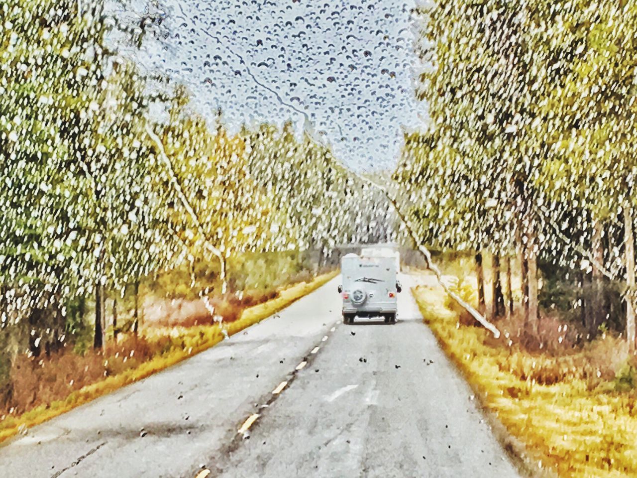 road, transportation, the way forward, street, land vehicle, day, no people, wet, outdoors, water, nature