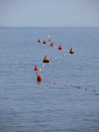 Buoy with rope floating in sea