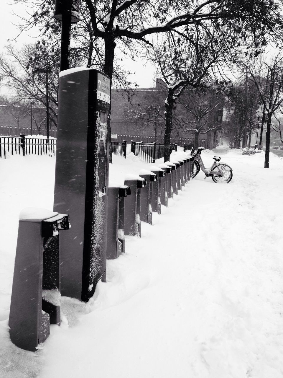 snow, winter, cold temperature, tree, season, built structure, bare tree, weather, architecture, white color, transportation, covering, the way forward, in a row, street light, day, building exterior, outdoors, nature, railing