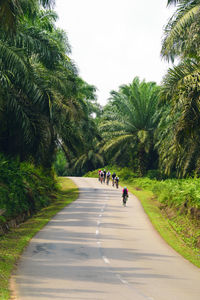 People on road amidst trees against sky